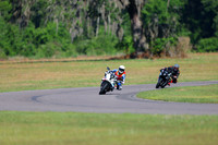 Group C Session 2
